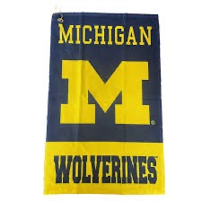 WinCraft michigan wolverines Beach Towel, 30 x 60 inches sold price at auction in Canada