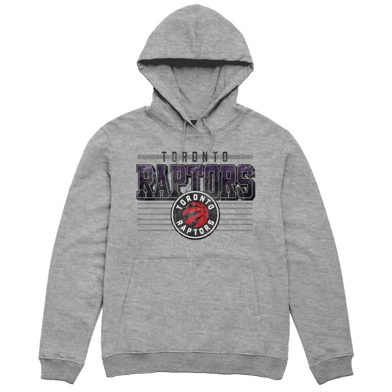 NBA Officially Licensed Toronto Raptors Vintage Grey Hoodie sold price at auction in Canada