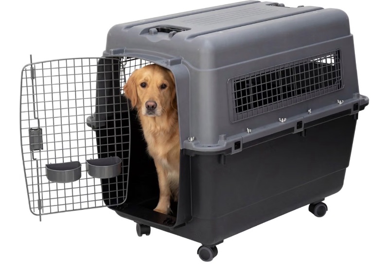 SportPet Designs Plastic Kennels Ro sold for $12 at auction (list price $436)
