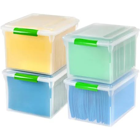 IRIS USA File Box, Plastic File Organizer with Lids for sold price at auction in Canada