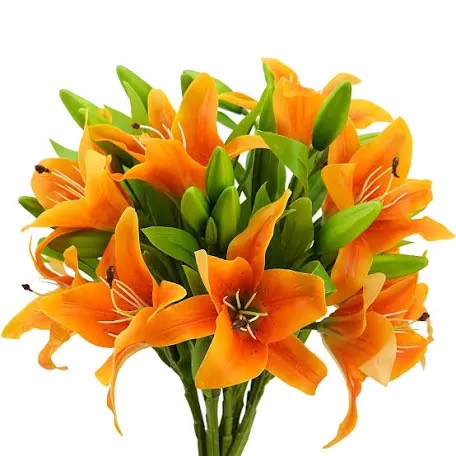 MINYULUA 8Pcs Artificial Tiger Lily Flowers Orange Real sold price at auction in Canada