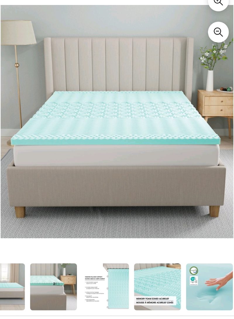 Dream Serenity® 2-Inch Memory Foam AcuRelief Zoned Memory sold price at auction in Canada